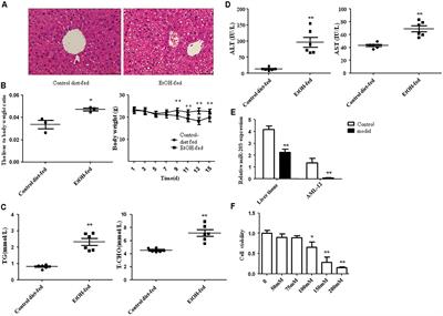 miR-203 Inhibits Alcohol-Induced Hepatic Steatosis by Targeting Lipin1